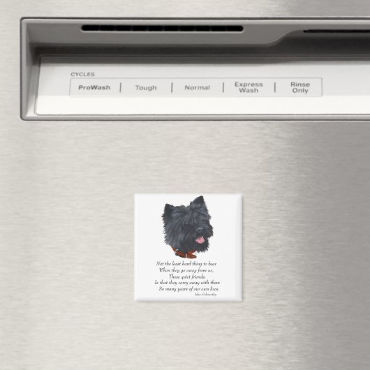 Rainbow Bridge van Black Cairn Terrier Magneet (Insitu (Vaatwasser))
