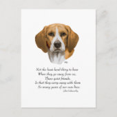 Rainbow-brug van Beagle Briefkaart (Voorkant)