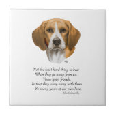 Rainbow-brug van Beagle Tegeltje (Voorkant)