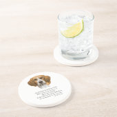 Rainbow-brug van Beagle Zandsteen Onderzetter (Zijkant)