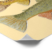 Rainbow, bruin & Brook-forel op kleurrijke achterg Poster (Hoek)