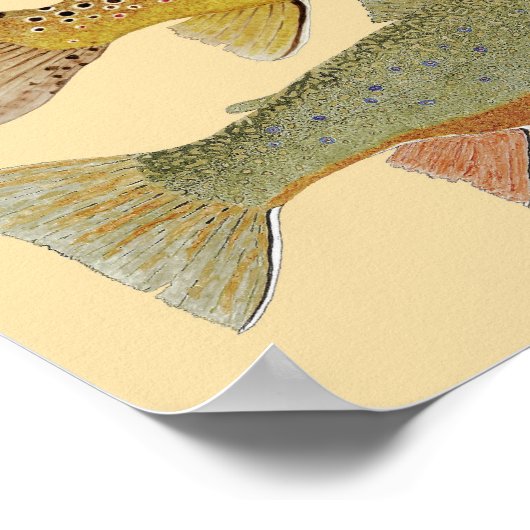 Rainbow, bruin & Brook-forel op kleurrijke achterg Poster (Hoek)