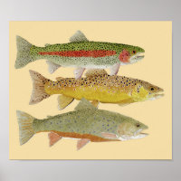 Rainbow, bruin & Brook-forel op kleurrijke achterg