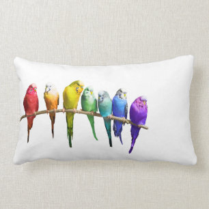 RAINBOW BUDGERIGARS White Pillow Cushion Kussen