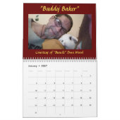 Rainbow Bunny Memorial Calendar 2021 Kalender (Jan 2027)