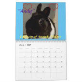 Rainbow Bunny Memorial Calendar 2021 Kalender (Mar 2027)