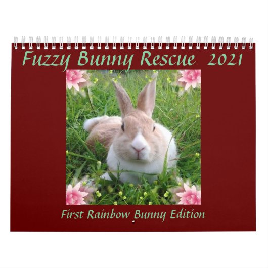 Rainbow Bunny Memorial Calendar 2021 Kalender (Hoes)