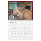 Rainbow Bunny Memorial Calendar 2021 Kalender (Feb 2026)
