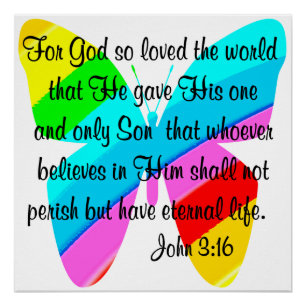 RAINBOW BUTTERFLY JOHN 3:16 ONTWERP PERFECT POSTER