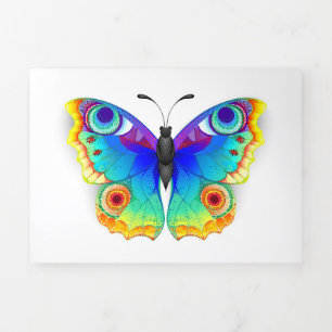 Rainbow Butterfly Peacock Eye Drieluik Programma