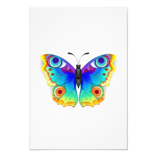 Rainbow Butterfly Peacock Eye Foto Afdruk (Voorkant)
