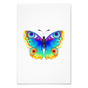 Rainbow Butterfly Peacock Eye Foto Afdruk