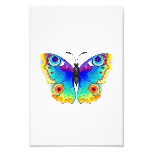Rainbow Butterfly Peacock Eye Foto Afdruk (Voorkant)