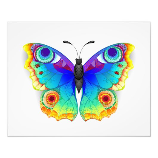 Rainbow Butterfly Peacock Eye Foto Afdruk (Voorkant)