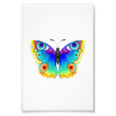 Rainbow Butterfly Peacock Eye Foto Afdruk (Voorkant)
