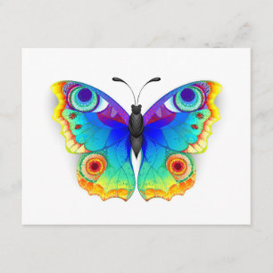 Rainbow Butterfly Peacock Eye Informatiekaartje