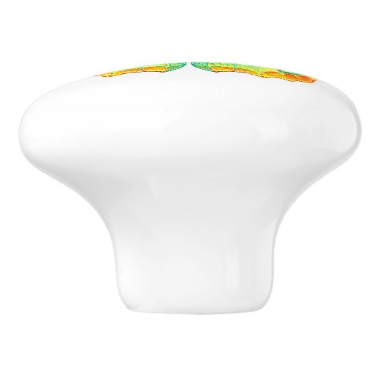 Rainbow Butterfly Peacock Eye Keramische Knop (Zijkant)