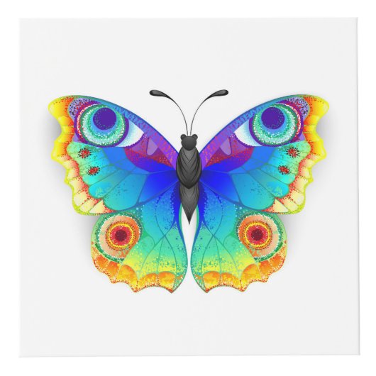Rainbow Butterfly Peacock Eye Kubus (Voorkant)