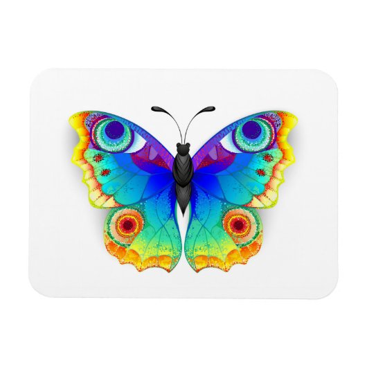 Rainbow Butterfly Peacock Eye Magneet (Horizontaal)