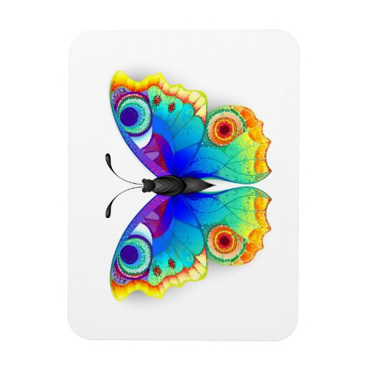 Rainbow Butterfly Peacock Eye Magneet (Verticaal)