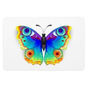 Rainbow Butterfly Peacock Eye Magneet