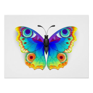 Rainbow Butterfly Peacock Eye Perfect Poster