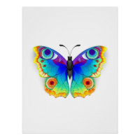 Rainbow Butterfly Peacock Eye
