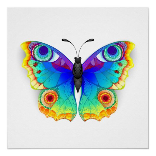 Rainbow Butterfly Peacock Eye Perfect Poster (Voorkant)