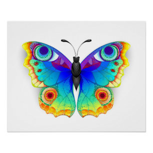 Rainbow Butterfly Peacock Eye Perfect Poster