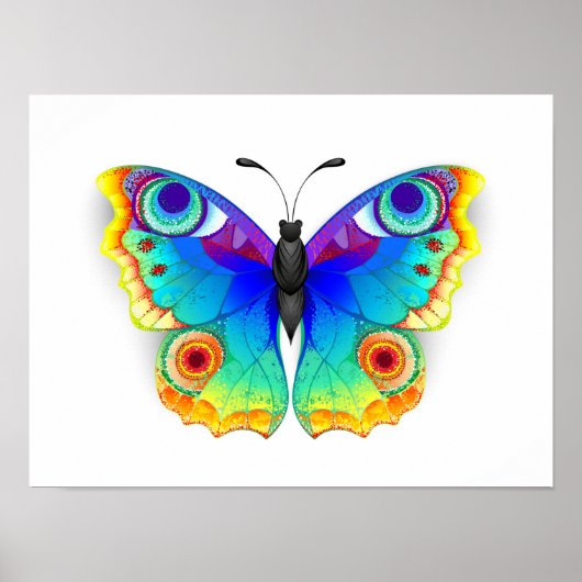 Rainbow Butterfly Peacock Eye Poster (Voorkant)