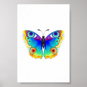 Rainbow Butterfly Peacock Eye Poster