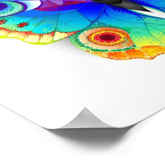 Rainbow Butterfly Peacock Eye Poster (Hoek)