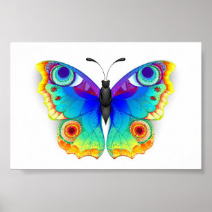 Rainbow Butterfly Peacock Eye Poster