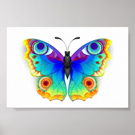 Rainbow Butterfly Peacock Eye Poster (Voorkant)