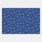 Rainbow Candy Canes kerst Inpakpapier Vel (Voorkant)