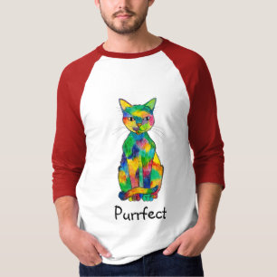 Rainbow Cat Purrfect Raglan T-Shirt