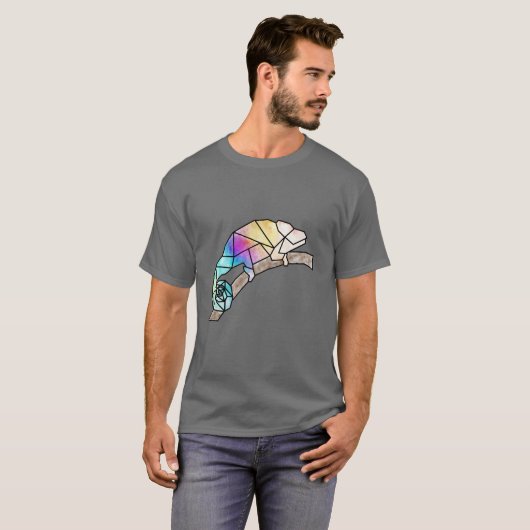 Rainbow Chameleon T-shirt (Voorkant volledig)