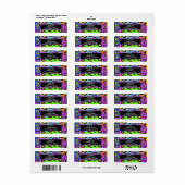 Rainbow Cheetah Leopard Party Adresetiketten Etiket (Full Sheet)