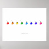 Rainbow Cherries Poster (Voorkant)