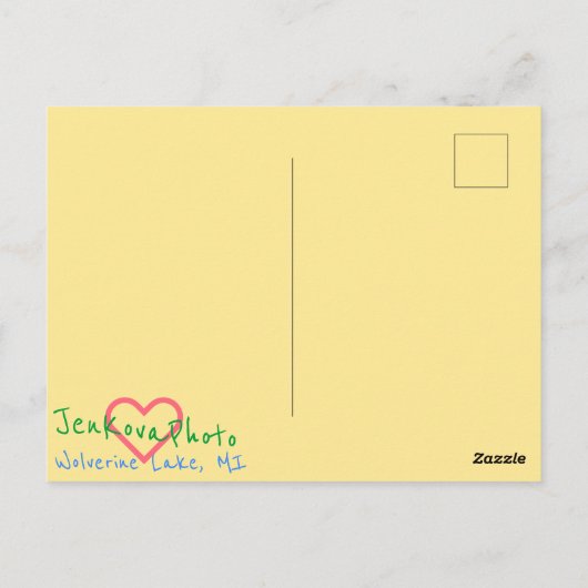 RAINBOW CHRISTMAS TREES BRIEFKAART (Achterkant)