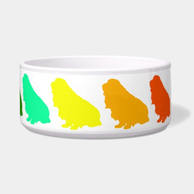 Rainbow Cocker Pet Bowl Voerbakje (Rechts)