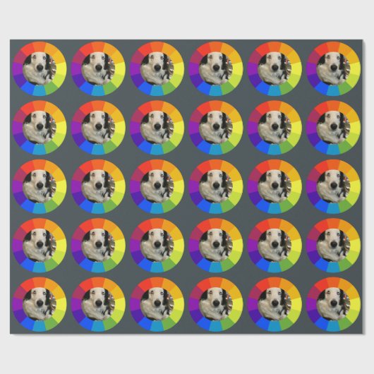 Rainbow Color Wheel Cadeaupapier (Vlak)