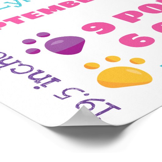 Rainbow Confetti Cute Kitty Cat Birth Stats Poster (Hoek)