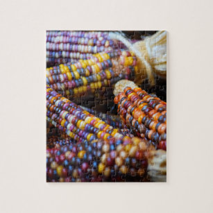 Rainbow Corn Cobs - kleuren van Herfst - 8 x 10 -  Legpuzzel