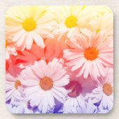 Rainbow Daisies Bier Onderzetter (Voorkant)