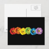 Rainbow Daisies Briefkaart (Voorkant / Achterkant)