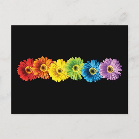 Rainbow Daisies Briefkaart (Voorkant)