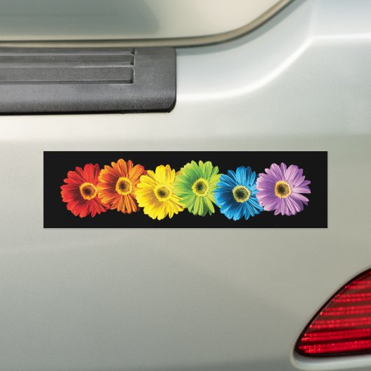 Rainbow Daisies Bumpersticker (Op auto)