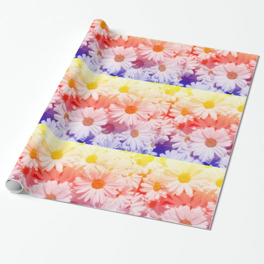 Rainbow Daisies Cadeaupapier (Uitgerold)