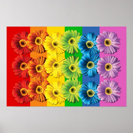Rainbow Daisies Poster (Voorkant)